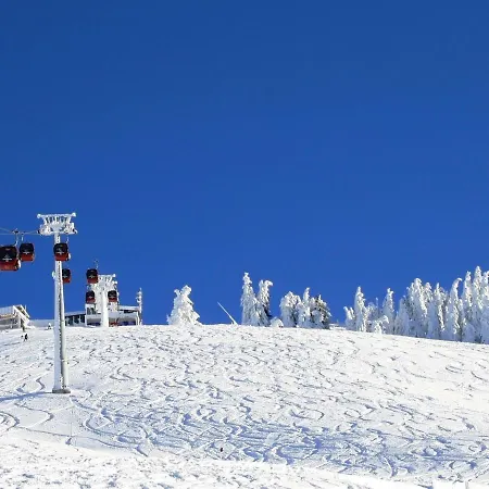 Alpehytte Chalet Rabl,