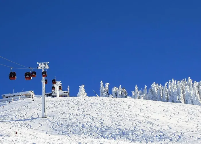 Alpehytte Chalet Rabl,